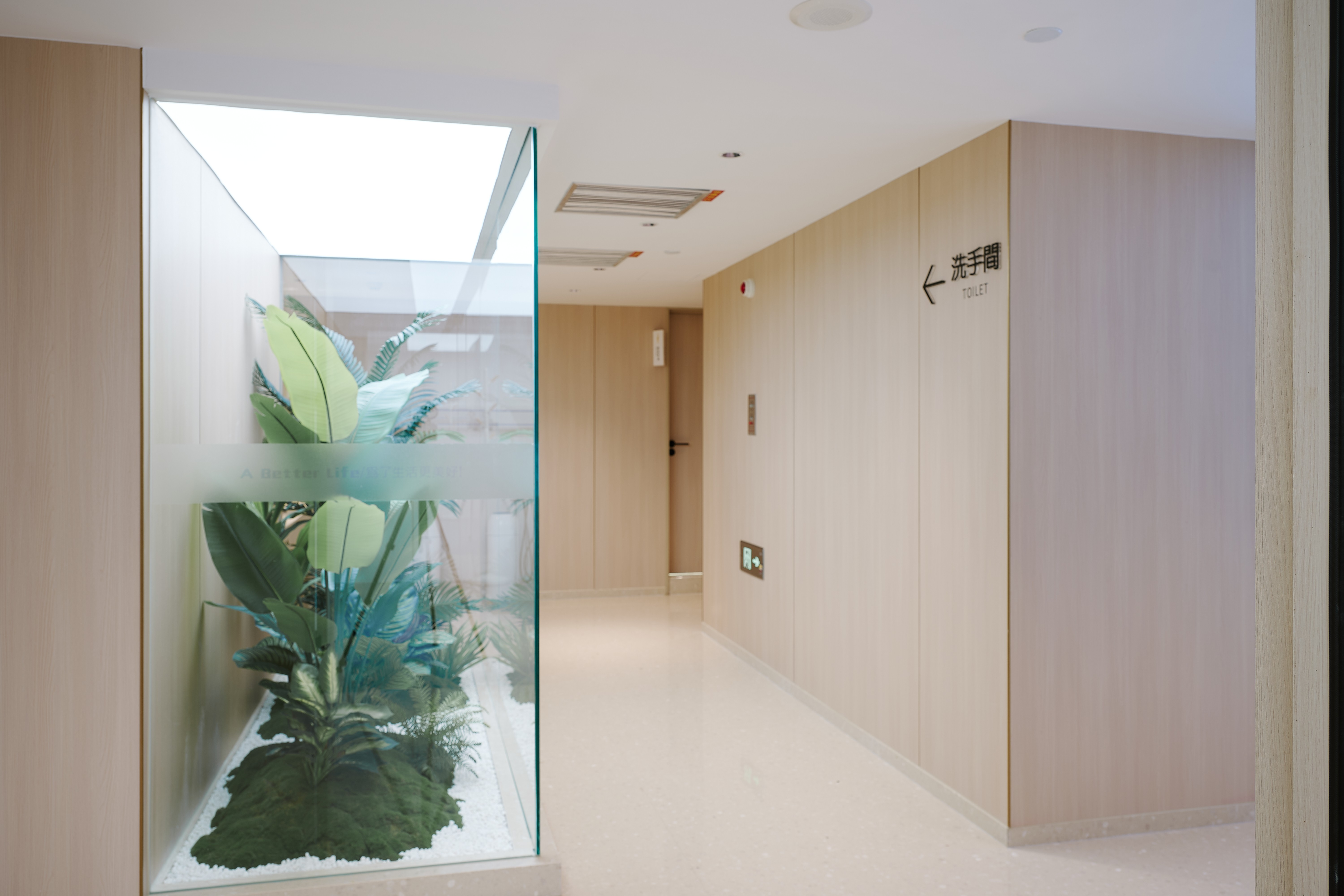 四、南宁柏乐口腔拔智齿多少钱一颗,优惠与活动信息