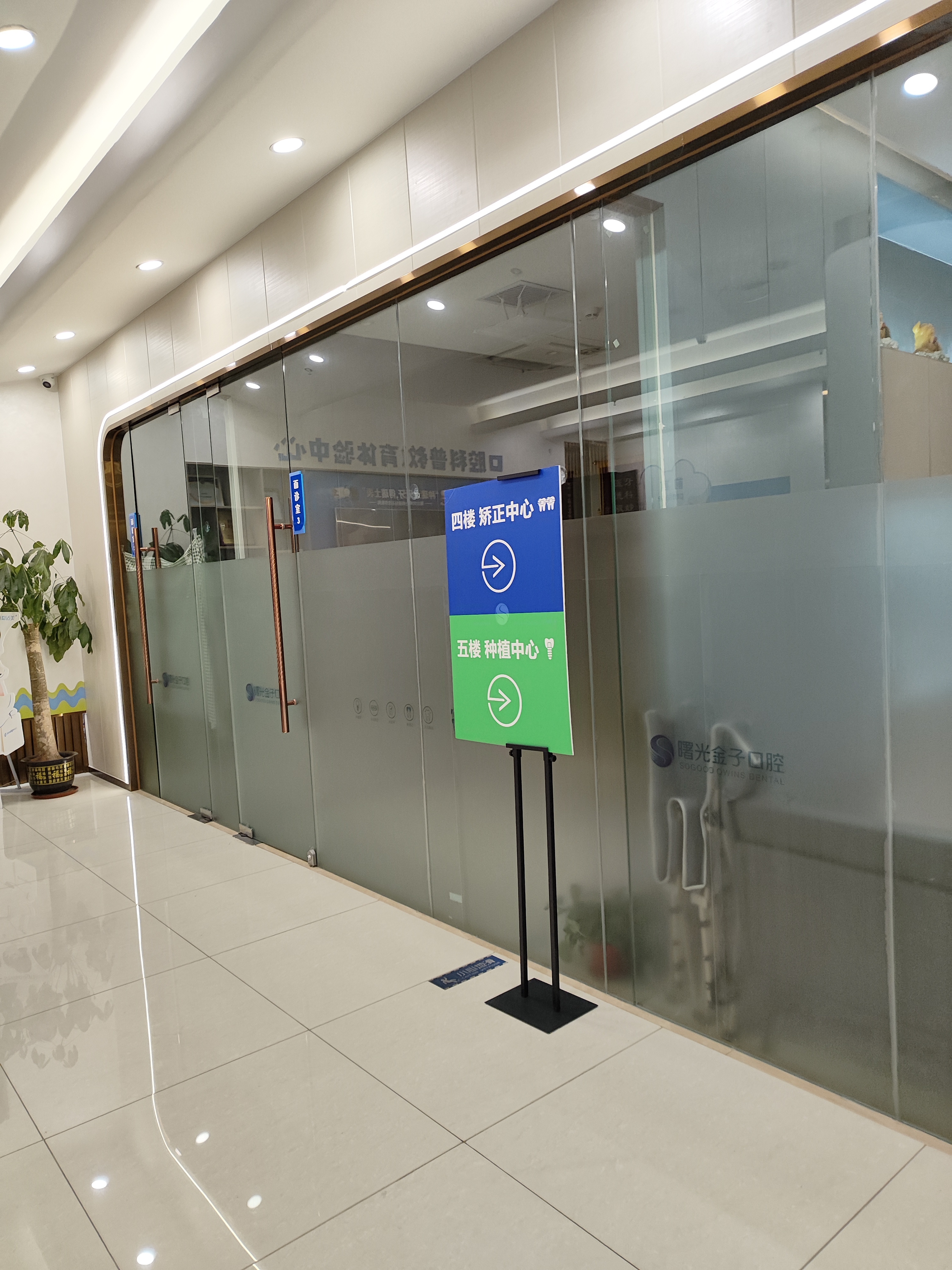 三、佛山曙光金子种牙多少钱?价格构成与影响因素详解