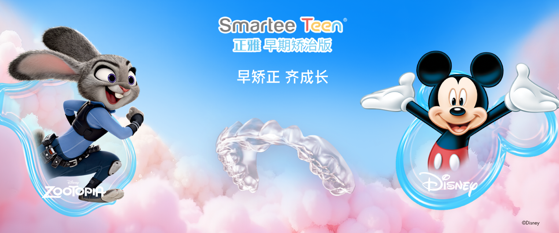 三、正雅的市场布局与行业地位