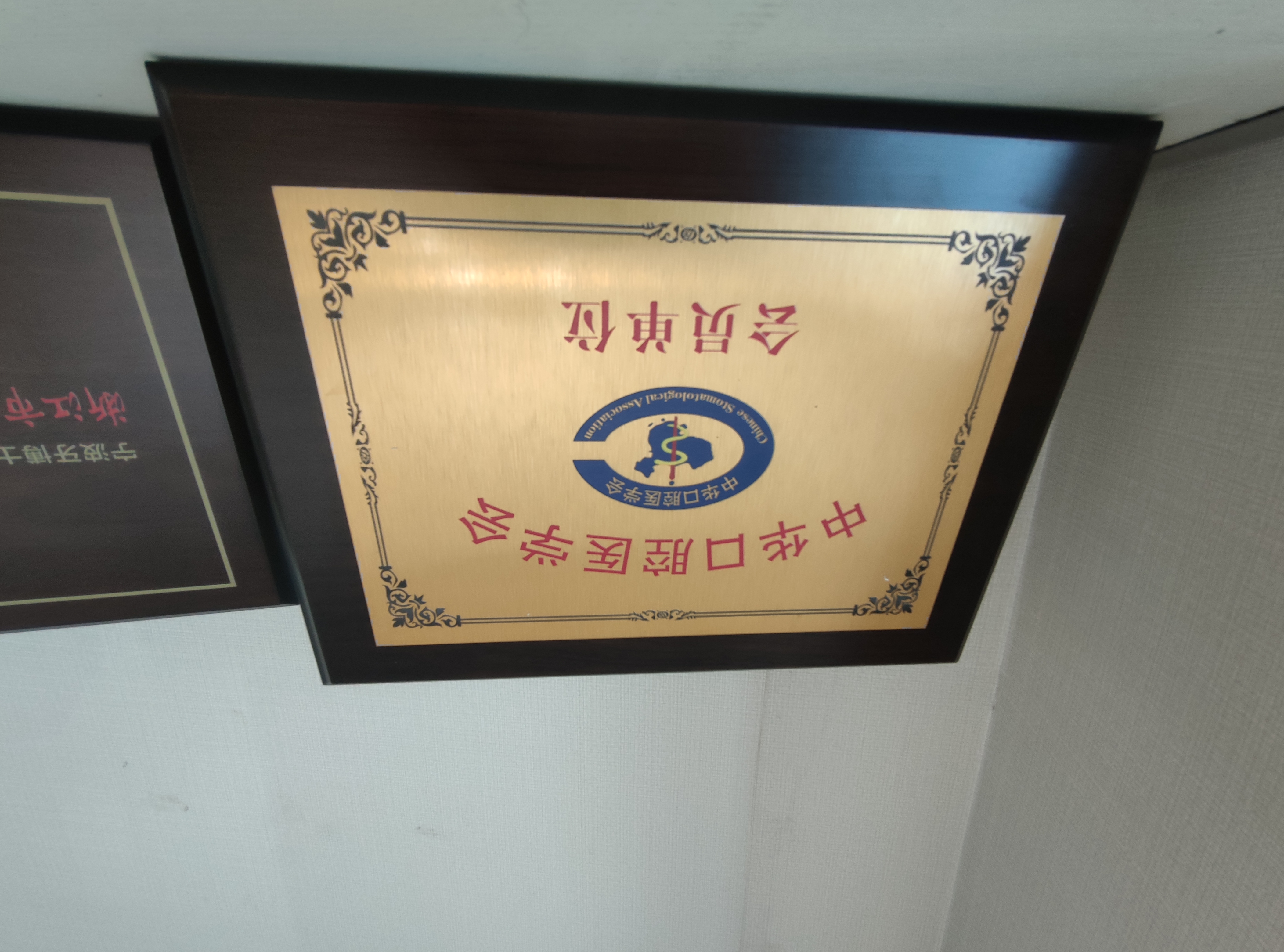 牙博士门店地址全攻略！全国30+分院地址电话2026年最新整理