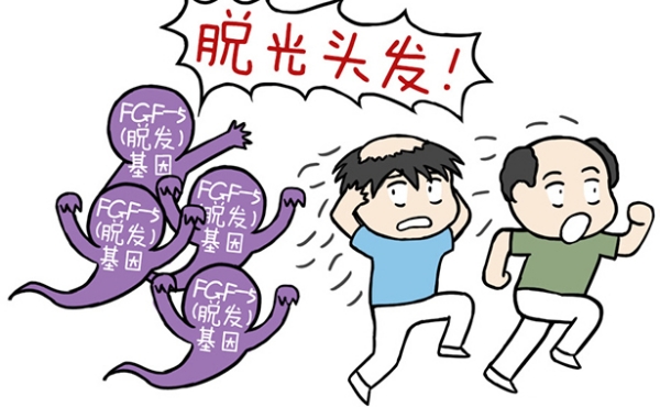 五、宝鸡熙朵植发